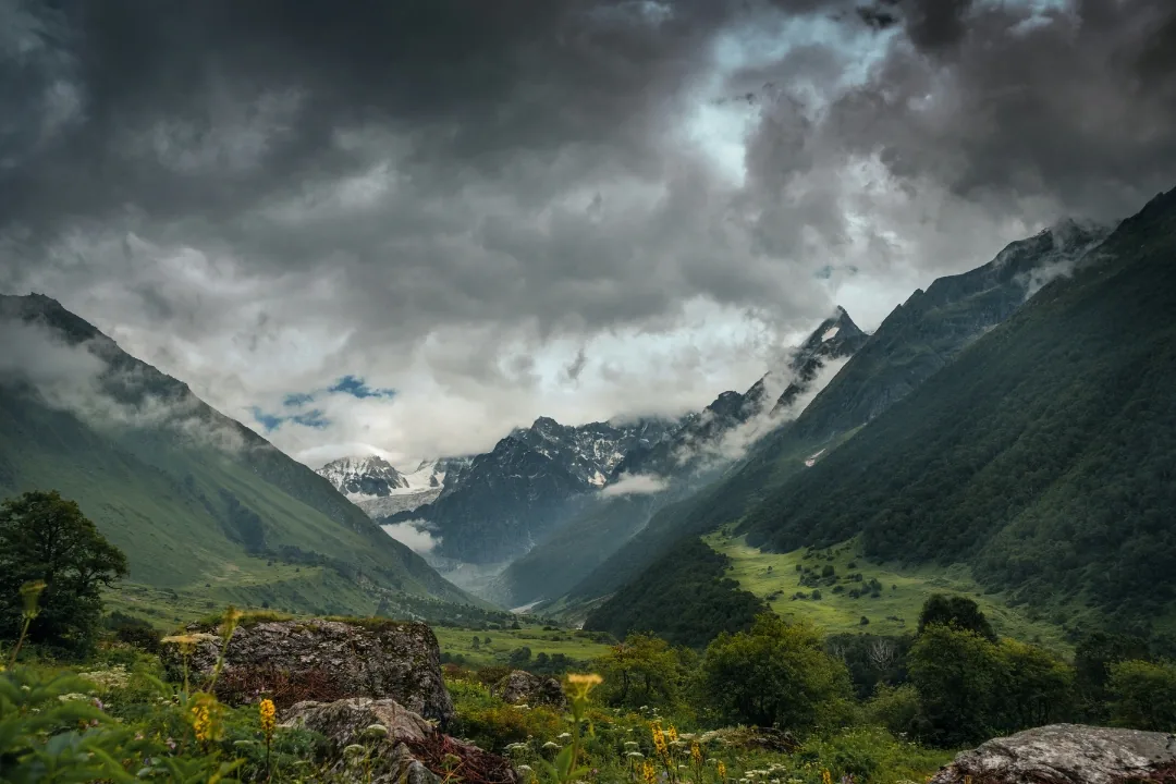 Valley of Flowers, beyond the postcard