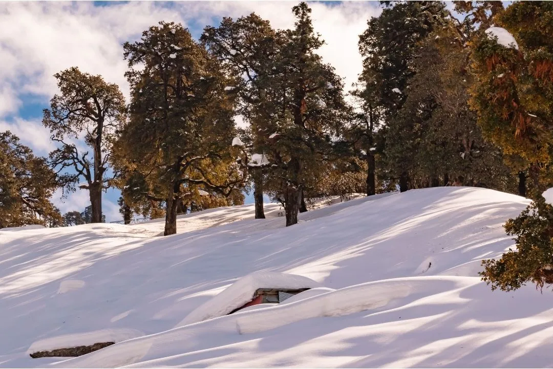 Chopta_Tungnath_Trekonindia (3)
